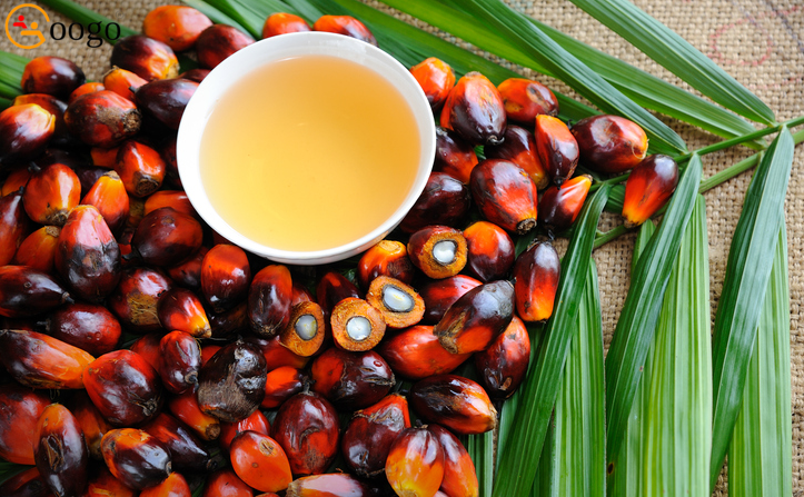 Palm Oil